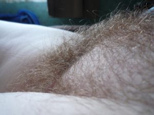 femme chatte poilu dans le 49 pour baiser
