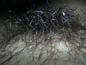 femme poilue cherche mec dans le 46 pour cunnilingus
